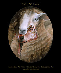 Calyn Williams - Digital Print